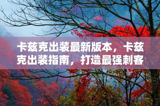 打造最强刺客的装备选择图片