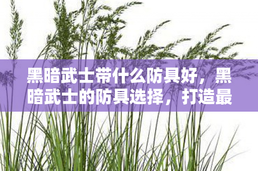 黑暗武士带什么防具好图片