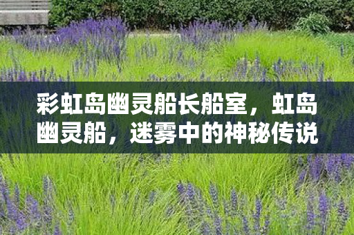 彩虹岛幽灵船长船室图片