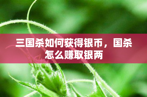 三国杀如何获得银币图片