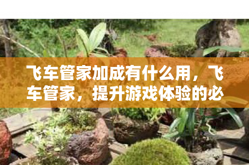 飞车管家加成有什么用，飞车管家，提升游戏体验的必备神器