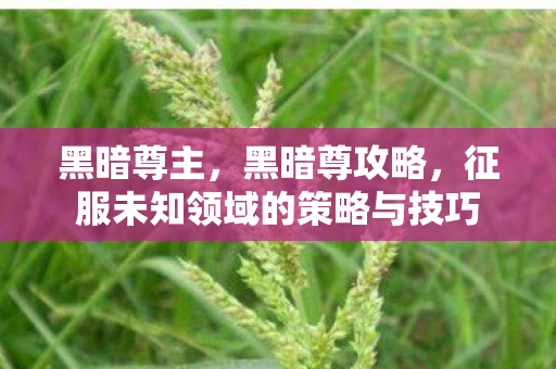 征服未知领域的策略与技巧图片