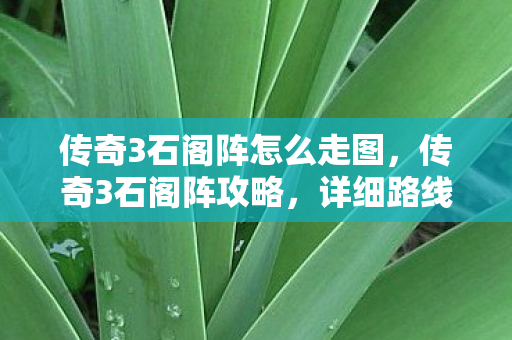 传奇3石阁阵怎么走图图片