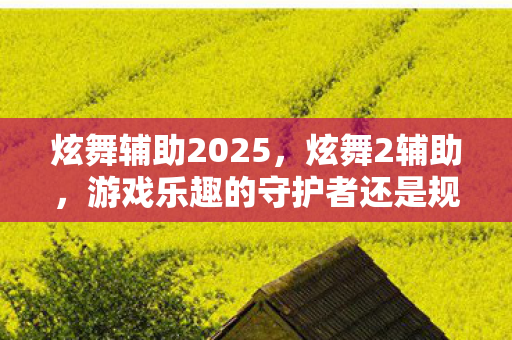 游戏乐趣的守护者还是规则的破坏者图片