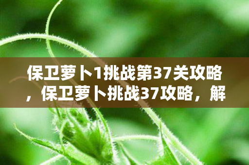 保卫萝卜1挑战第37关攻略图片