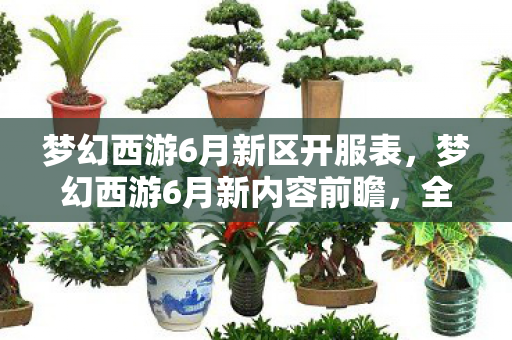 梦幻西游6月新区开服表图片