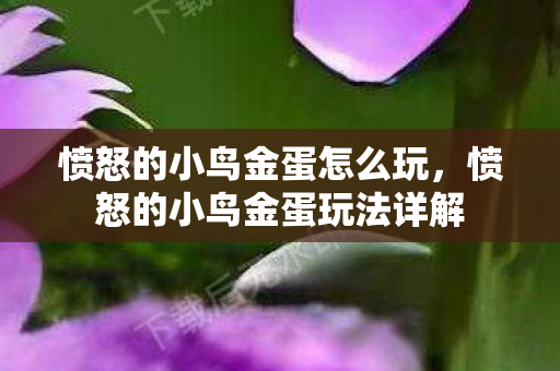 愤怒的小鸟金蛋玩法详解图片
