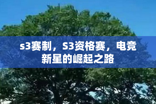 电竞新星的崛起之路图片