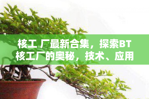 探索BT核工厂的奥秘图片