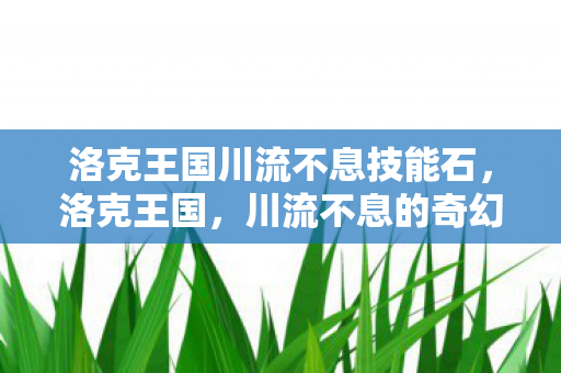 洛克王国川流不息技能石图片