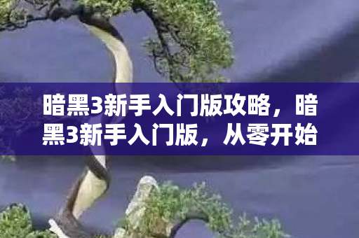 从零开始掌握暗黑破坏神3图片