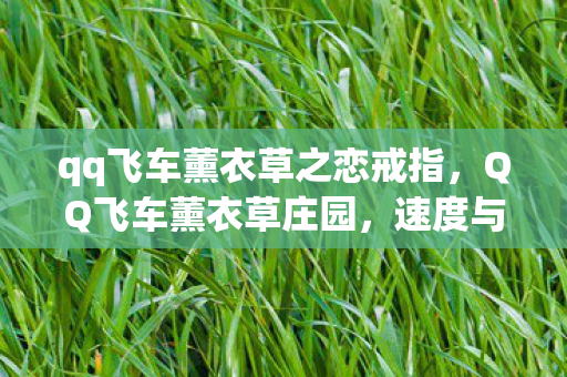 qq飞车薰衣草之恋戒指，QQ飞车薰衣草庄园，速度与浪漫的完美交融