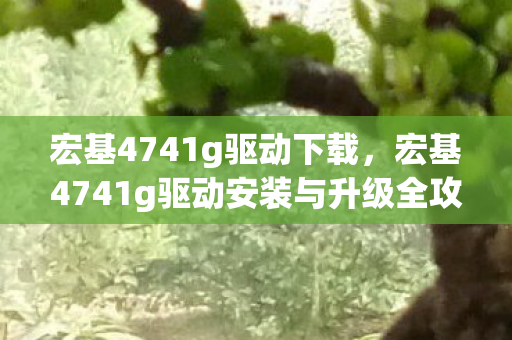 宏基4741g驱动安装与升级全攻略图片