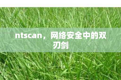 网络安全中的双刃剑图片