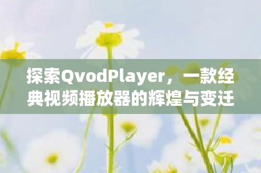 一款经典视频播放器的辉煌与变迁图片