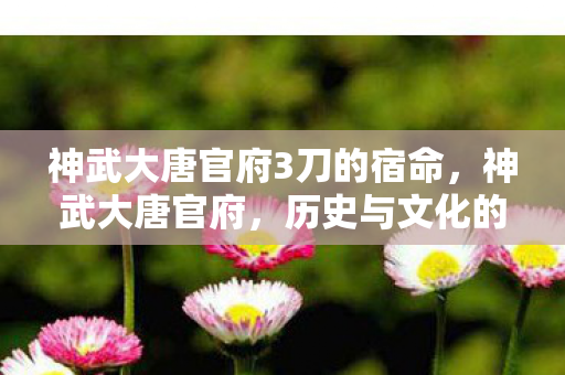 神武大唐官府3刀的宿命图片