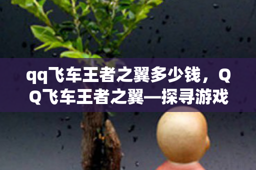 qq飞车王者之翼多少钱，QQ飞车王者之翼—探寻游戏巅峰的神秘力量
