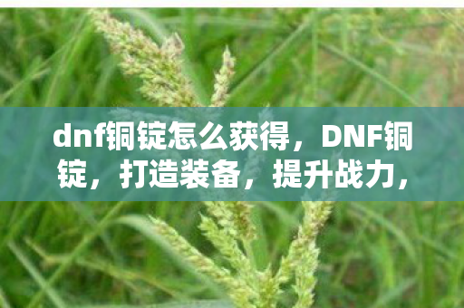 你不可错过的游戏资源图片