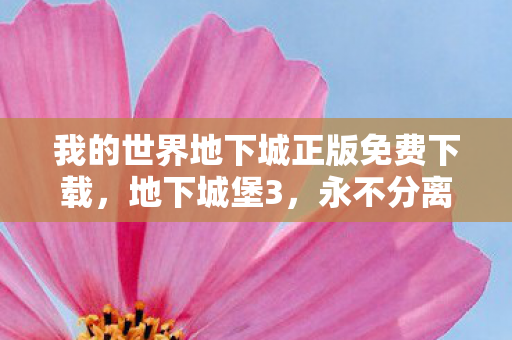 我的世界地下城正版免费下载图片