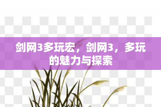 多玩的魅力与探索图片