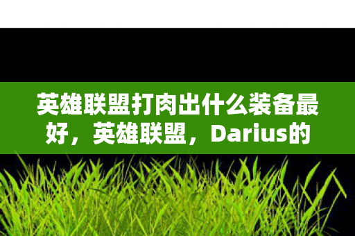 Darius的崛起与战术解析图片