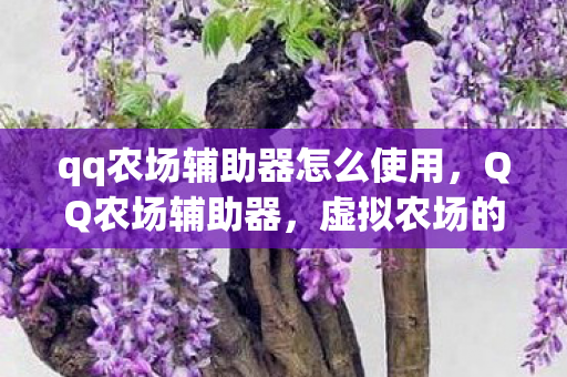 qq农场辅助器怎么使用图片