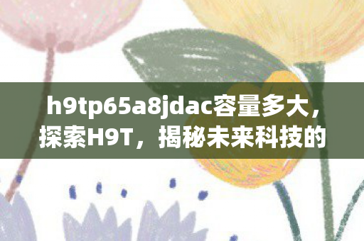 h9tp65a8jdac容量多大图片