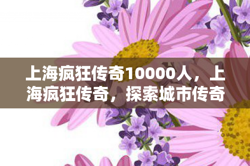上海疯狂传奇10000人图片