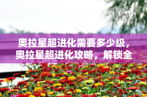 奥拉星超进化需要多少级图片