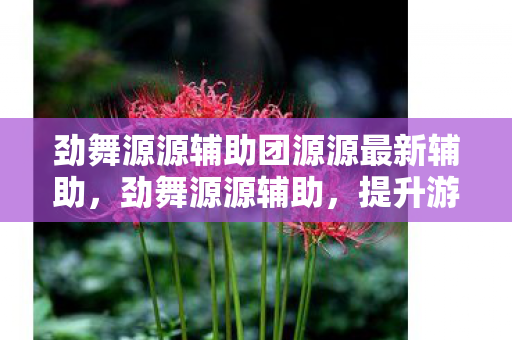 劲舞源源辅助团源源最新辅助图片