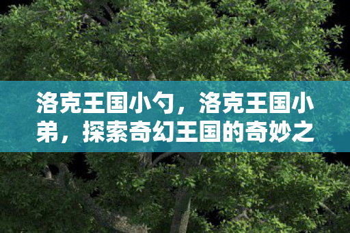 探索奇幻王国的奇妙之旅图片