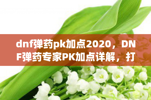 dnf弹药pk加点2020图片