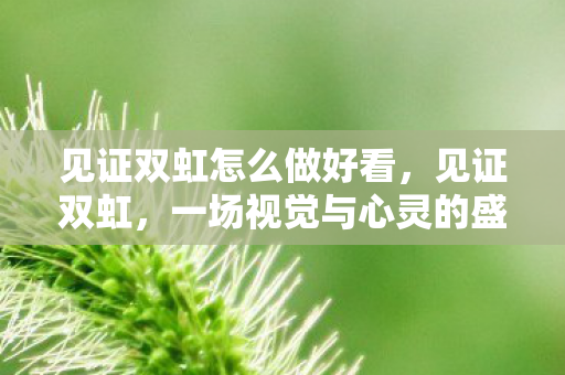 一场视觉与心灵的盛宴图片