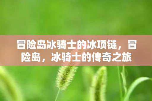冒险岛冰骑士的冰项链图片