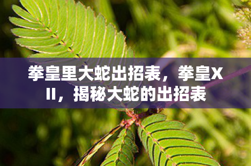 拳皇里大蛇出招表图片