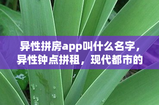 异性拼房app叫什么名字，异性钟点拼租，现代都市的新型社交模式？