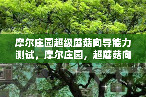 摩尔庄园超级蘑菇向导能力测试图片