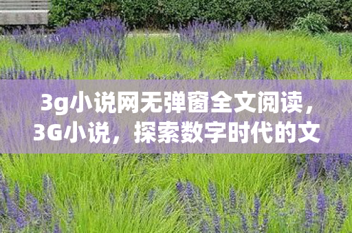 3g小说网无弹窗全文阅读图片