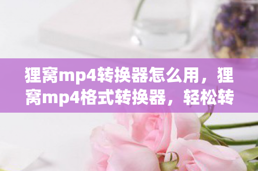 狸窝mp4转换器怎么用图片
