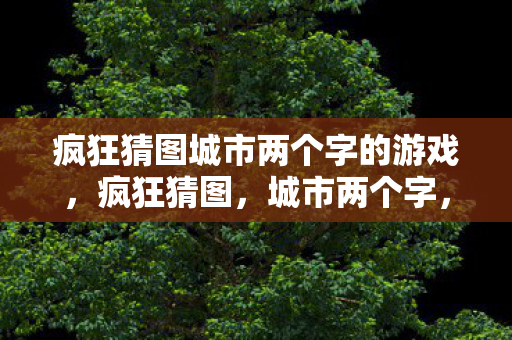 疯狂猜图城市两个字的游戏图片