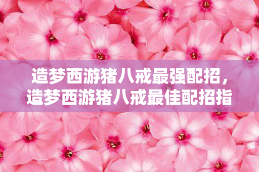 造梦西游猪八戒最佳配招指南图片