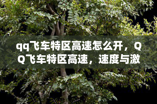 qq飞车特区高速怎么开，QQ飞车特区高速，速度与激情的完美融合