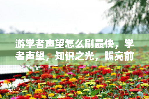 游学者声望怎么刷最快图片