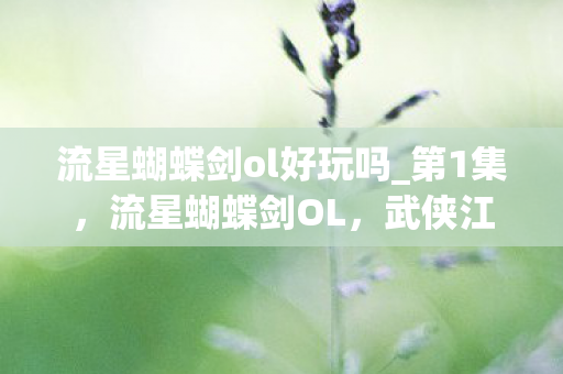 流星蝴蝶剑ol好玩吗图片