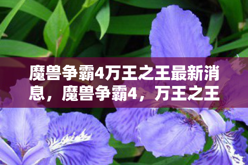 魔兽争霸4万王之王最新消息图片