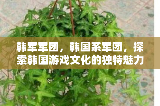 探索韩国游戏文化的独特魅力图片