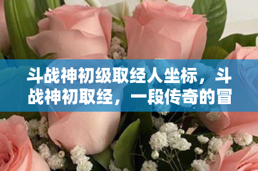 斗战神初级取经人坐标图片