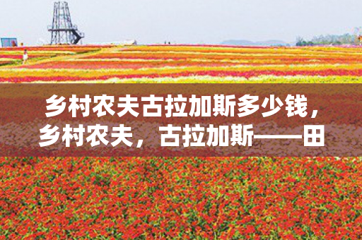 乡村农夫古拉加斯多少钱图片