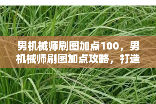 男机械师刷图加点100图片