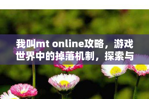 我叫mt online攻略图片